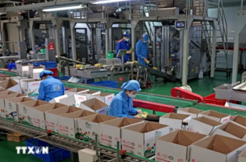 Triển khai Nghị quyết 68: Tạo thêm niềm tin cho doanh nhân kiều bào