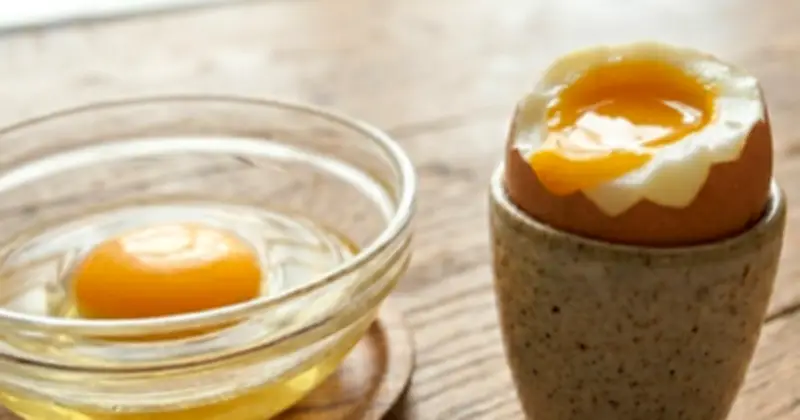 Trứng lòng đào: Sự cân bằng giữa protein và dinh dưỡng