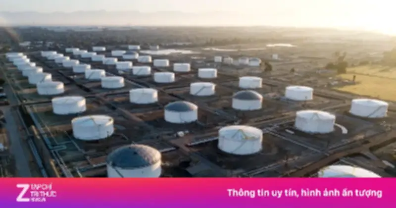 Trung Quốc sẽ tăng mua dầu thô Mỹ sau hội nghị thượng đỉnh