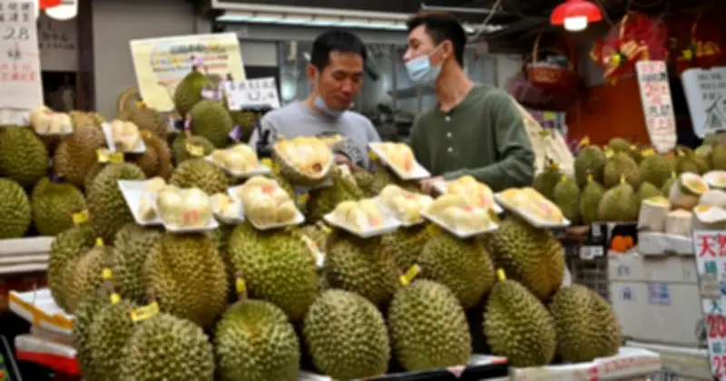 Tàu lạnh chở sầu riêng Thái Lan tới Trung Quốc rút ngắn thời gian, giảm giá