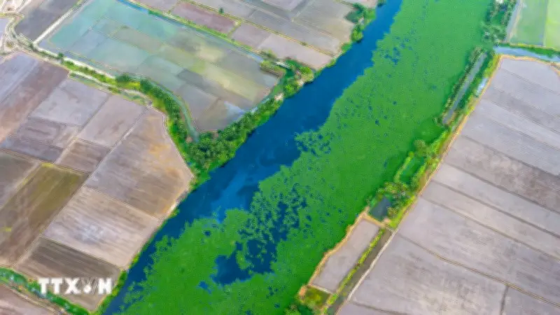 Tây Ninh: Nước sông Vàm Cỏ Đông đến đặc, người dân thấp thỏm giữa mùa hạn