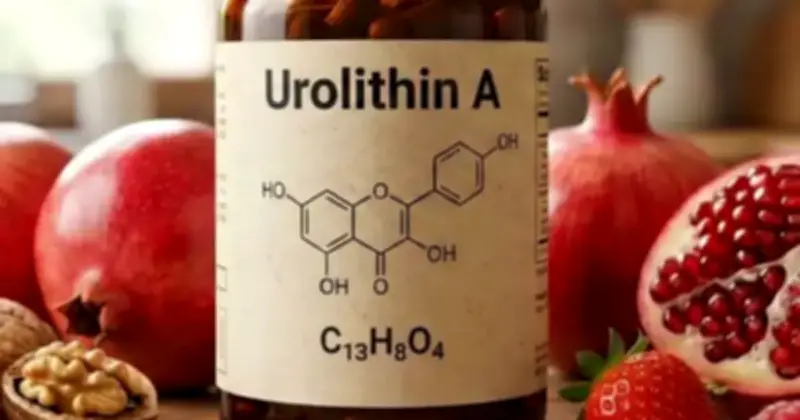 Urolithin A: Bí mật tuổi thọ từ lựu mà 60% người không hấp thụ được