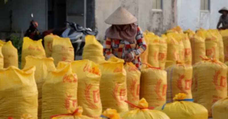 USDA dự báo Philippines nhập khẩu 5,5 triệu tấn gạo năm 2026, Việt Nam đứng thứ hai