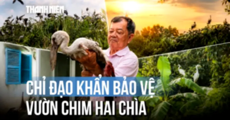Vụ chủ vườn chim hái chìa kêu cứu: Chủ tịch UBND tỉnh Vĩnh Long chỉ đạo khẩn