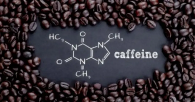 Vì sao caffeine bị kéo vào đường dây ma túy? Sự thật về chất kích thích quen thuộc