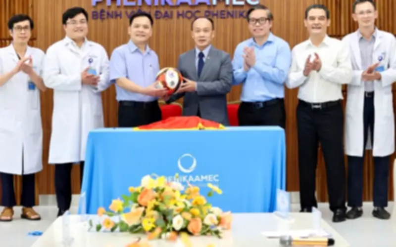 VFF mở rộng mạng lưới y học thể thao nâng cao chất lượng chăm sóc cầu thủ Việt