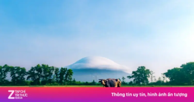 Video cảnh biển mây nổi cuồn cuộn siêu thực bao phủ đỉnh núi Bà Đen