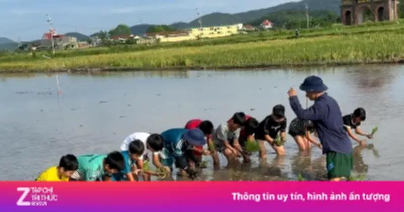 Video khởi nghiệp hé học cây lúa gây sốt MXH
