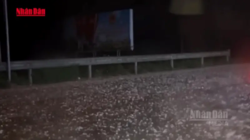 Video mưa đá dồn dập đầu tháng 5 ở Bắc Bộ, cảnh báo nguy cơ còn tiếp diễn