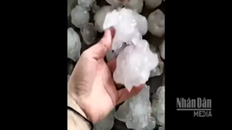 Video mưa đá tiếp tục xuất hiện gây thiệt hại tại Nghệ An và Hà Tĩnh