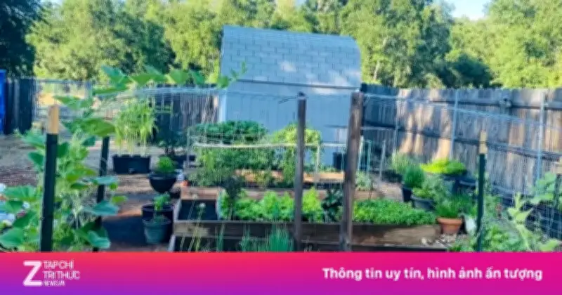 Video miệt vườn miền Tây của gia đình ở Mỹ gây sốt