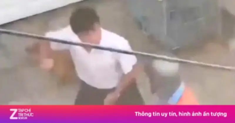 Video: Người đàn ông ném con chó vào shipper gây phẫn nộ