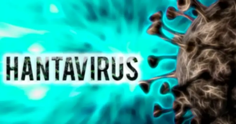 Virus Hanta gây 3 ca tử vong trên tàu du lịch, Bộ Y tế khuyến cáo khẩn