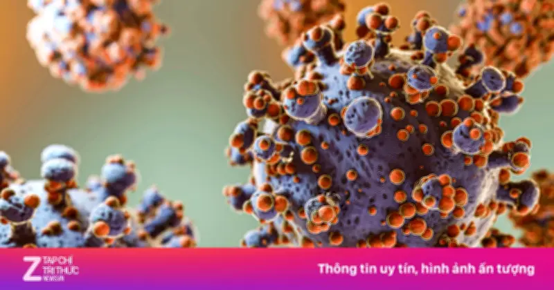 Virus Hanta trên tàu du lịch khiến 3 người tử vong, Bộ Y tế khuyến cáo phòng bệnh