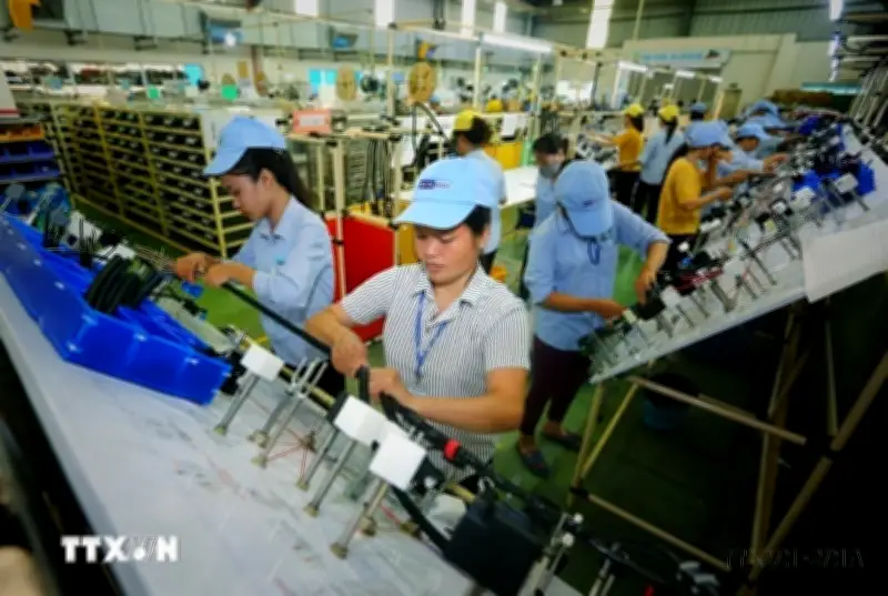 Việt Nam - Ấn Độ mở rộng không gian hợp tác thương mại trong giai đoạn mới