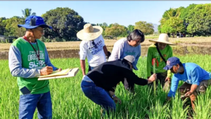 Việt Nam-Philippines: 50 năm hợp tác, thương mại gạo là điểm sáng