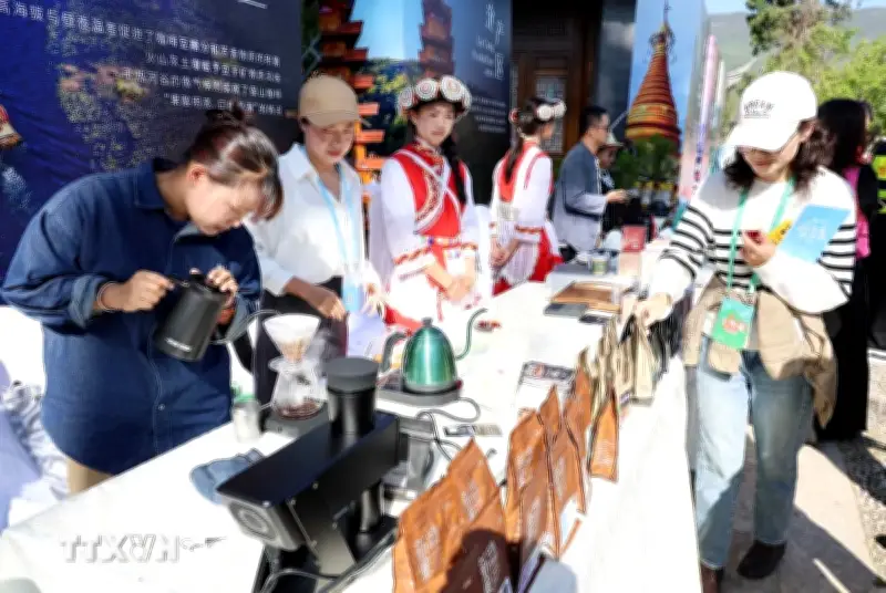 Việt Nam-Trung Quốc tăng cường hợp tác cà phê, mở ra cơ hội mới tại Vân Nam