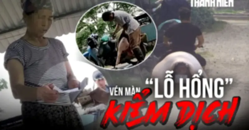 Vén màn lỗ hổng kiểm dịch: Thương lái tự đóng dấu thịt lợn