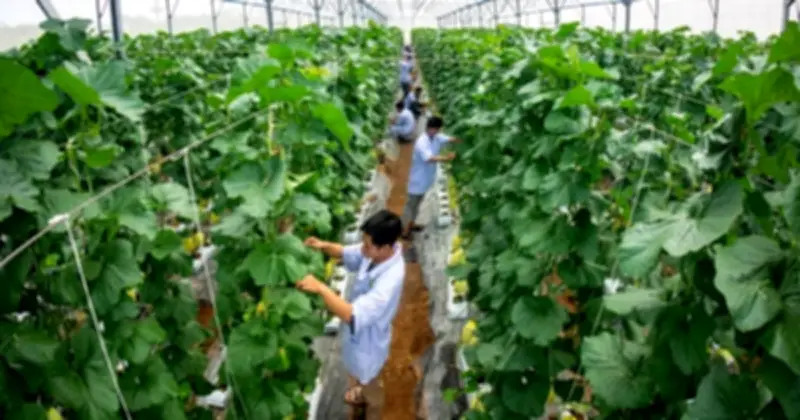 Vĩnh Long quy hoạch trở thành trung tâm năng lượng xanh của ĐBSCL