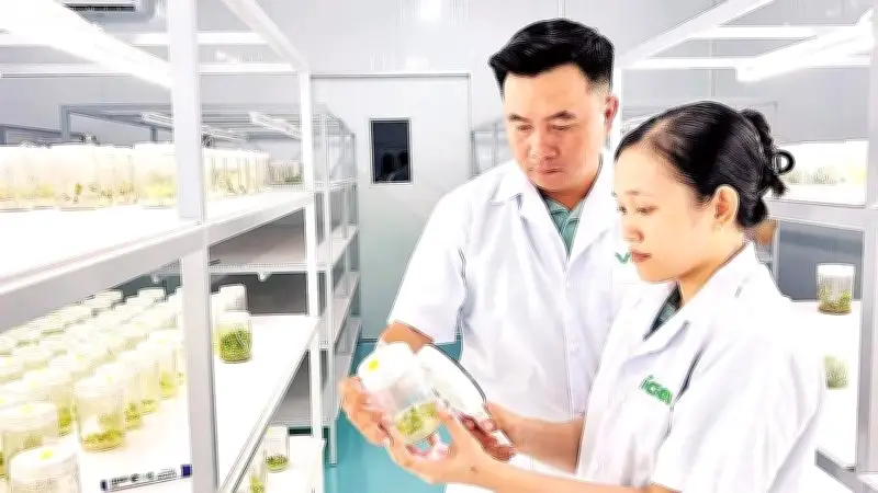 Vĩnh Long từng bước hình thành hệ sinh thái kinh tế tuần hoàn