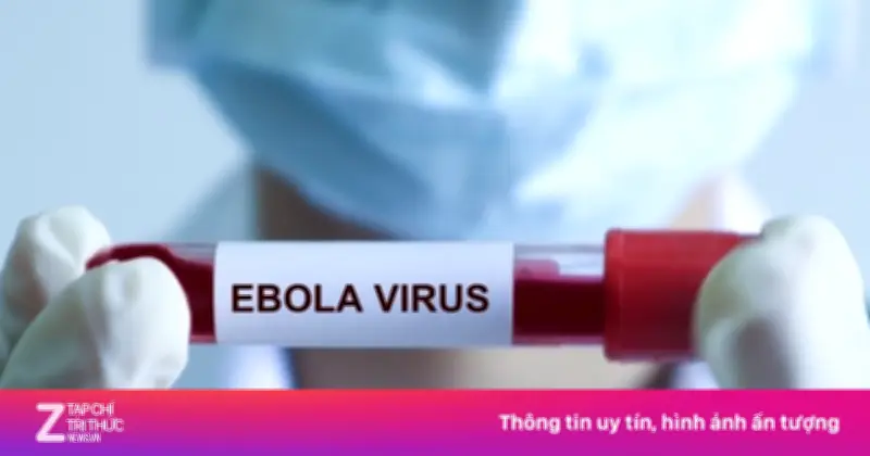 WHO ban bố tình trạng khẩn cấp dịch Ebola, Bộ Y tế khuyến cáo người dân