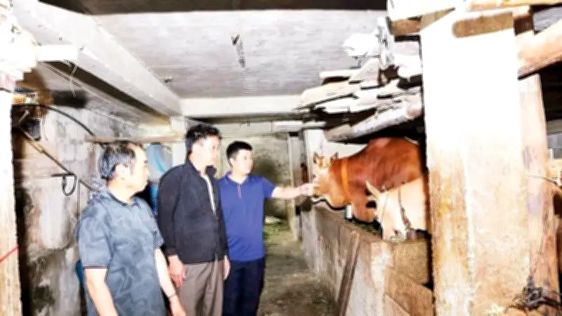 Xã Thắng Mố: Mô hình sinh kế giúp đồng bào H'Mông thoát nghèo bền vững