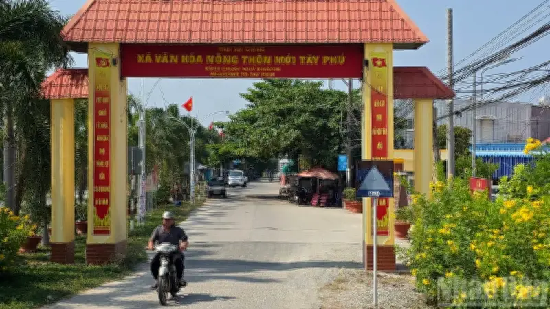 Xã Tây Phú sau sáp nhập: Chuyển mình mạnh mẽ từ nông thôn mới nâng cao