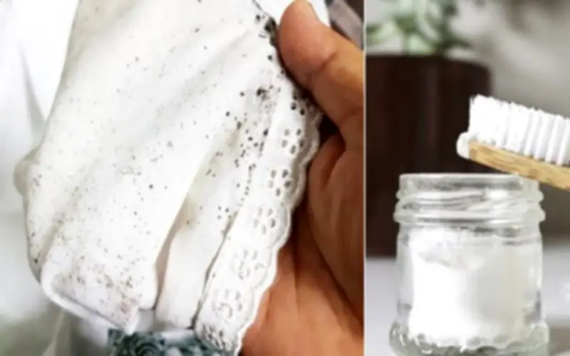 Xóa sổ nấm mốc trên quần áo, tránh mắc bệnh đường hô hấp: Mẹo giặt phơi thần tốc bất chấp thời tiết