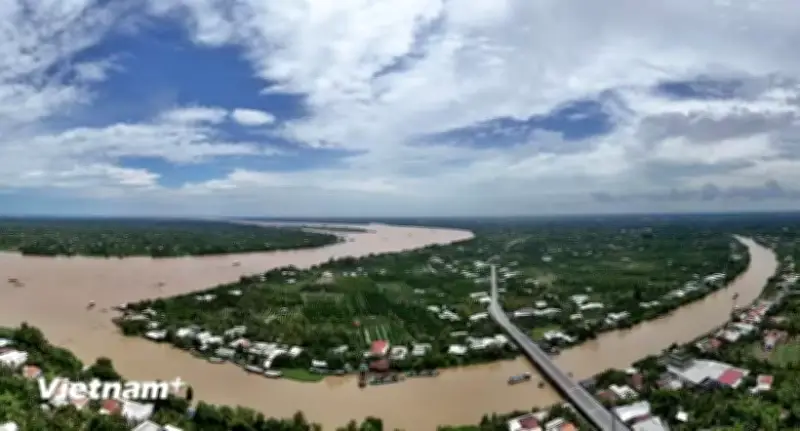 Xanh hóa vựa lúa số 1 Việt Nam: Chuyển từ ứng phó bị động sang chủ động thích ứng