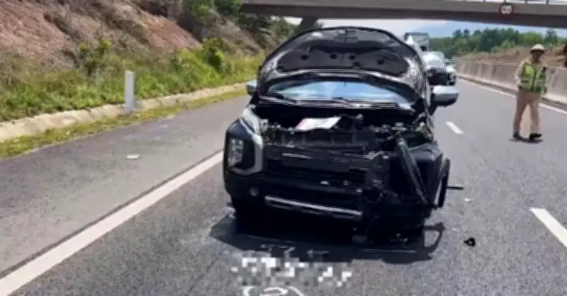 Xe chạy gần 100km/h tông trụ điện, con bò trên cao tốc túi khí bung ra