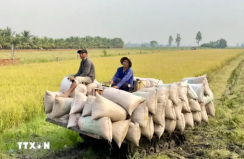 Xuất khẩu nông lâm thủy sản 4 tháng đầu năm 2026 ước đạt 23,04 tỷ USD