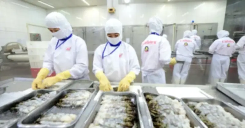 Xuất khẩu thủy sản 2026 dự kiến vượt 12 tỉ USD nhờ tháo gỡ điểm nghẽn