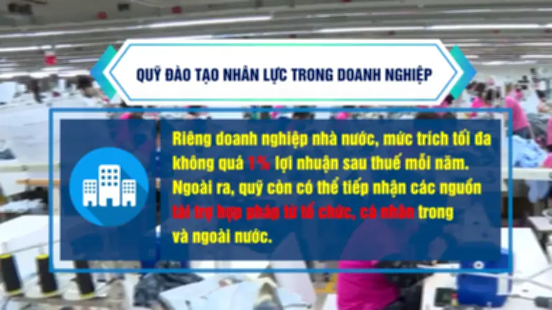 Đề xuất thành lập quỹ đào tạo nhân lực trong doanh nghiệp