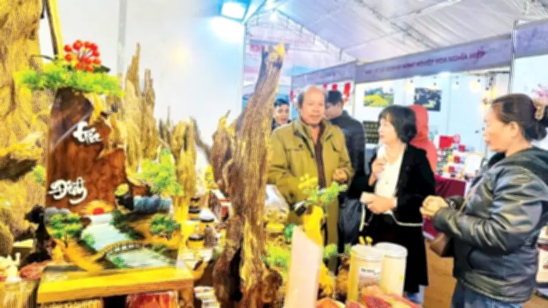 Đẩy mạnh liên kết sản xuất nông nghiệp tại xã Dục Nông, Quảng Ngãi