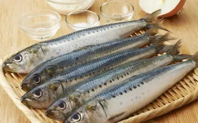 Cá mòi: Siêu thực phẩm giàu omega-3 và những lưu ý khi ăn