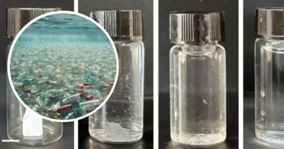 Các nhà khoa học tạo ra 'nhựa sống' có khả năng tự hủy theo lệnh