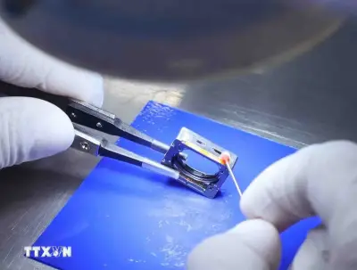 Cần Thơ hỗ trợ tới 200 tỷ đồng cho dự án chip bán dẫn và AI