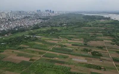 Công khai thông tin vi phạm đất đai trên Cổng thông tin Bộ Nông nghiệp