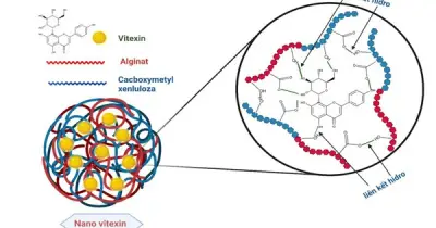 Công nghệ nano biến vỏ đỗ xanh thành 'thuốc' hỗ trợ tiểu đường