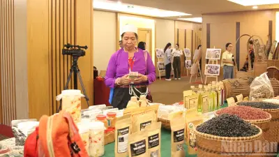 Dự án JICA hỗ trợ sinh kế bền vững cho đồng bào miền núi Đà Nẵng