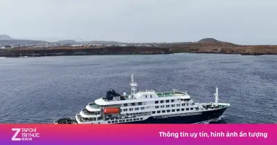 Du thuyền mang cờ Hà Lan cập cảng Tây Ban Nha sau ổ dịch Hantavirus