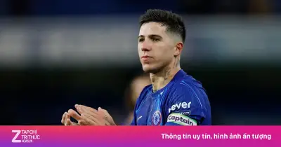 Enzo Fernandez dứt tình Chelsea, Real Madrid quyết chiêu mộ
