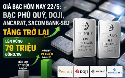 Giá bạc hôm nay 22/5: Bạc Phú Quý, DOJI, Ancarat, Sacombank, SBJ tăng trở lại
