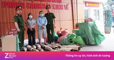 Hà Nội triệt phá đường dây buôn lậu ngà voi và thuốc lá