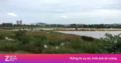 Hơn 2.000 ha đất bị loại khỏi danh sách thí điểm nhà ở thương mại tại TP.HCM