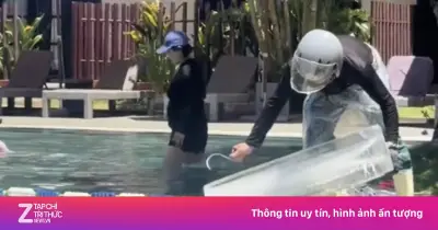 Khách sạn ở Hội An thả dê xuống hồ bơi giải nhiệt gây chú ý