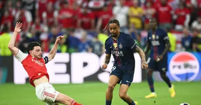 Kết quả bóng đá hôm nay: Champions League, V-League và nhiều giải đấu hấp dẫn