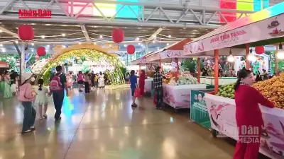 Lễ hội trái cây Nam Bộ 2026 thu hút đông đảo du khách tại Suối Tiên