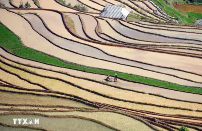 Lai Châu: Chiêm ngưỡng vẻ đẹp ruộng bậc thang mùa nước đổ