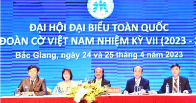 Liên đoàn Cờ Việt Nam chấn chỉnh hoạt động sau lùm xùm tuyển chọn đội tuyển